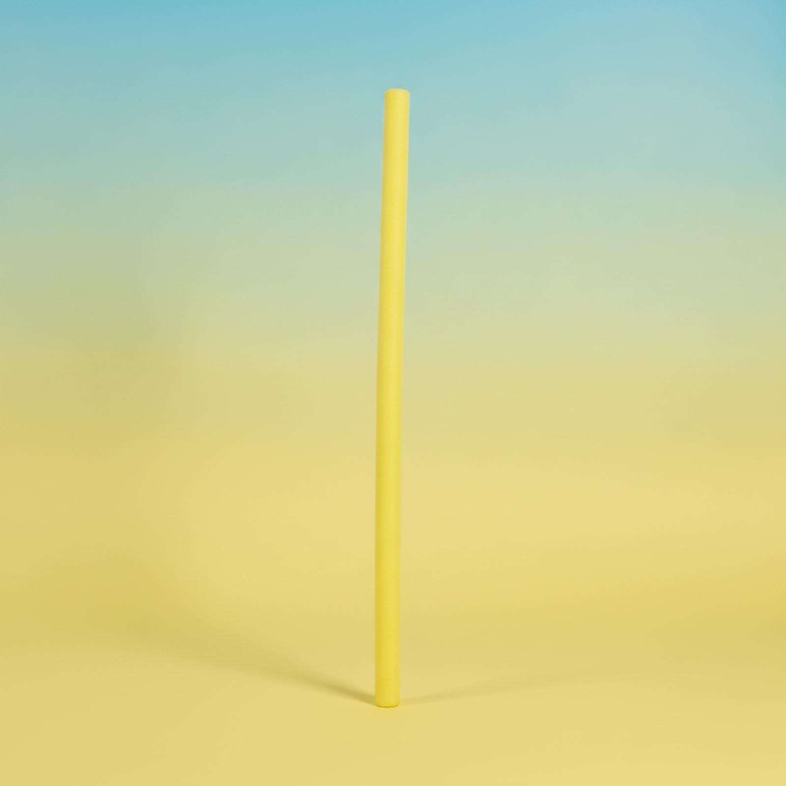 แท่งโฟมทรงกระบอกสำหรับฝึกว่ายน - Foam Pool Noodle บทวิจารณ์และราคา
